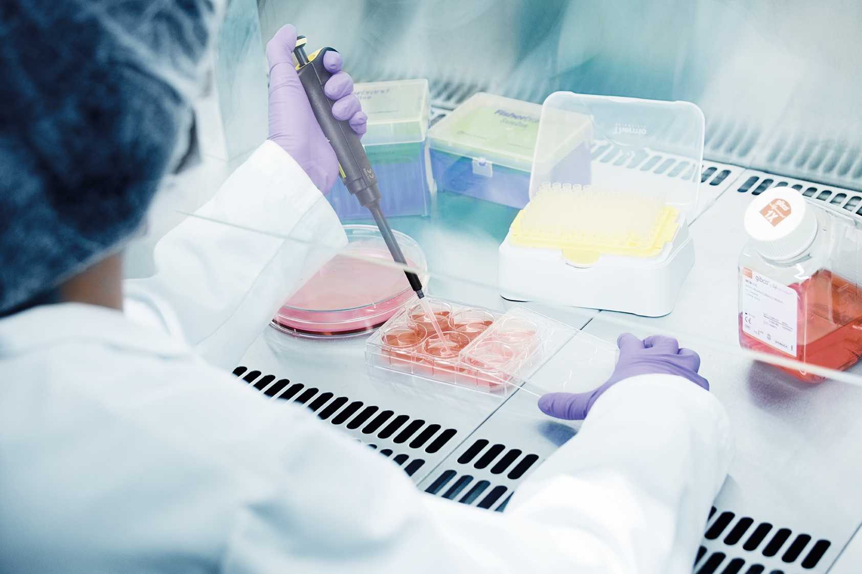 biotecnologia-06_retocada Ефективността на стволовите клетки в козметичните продукти